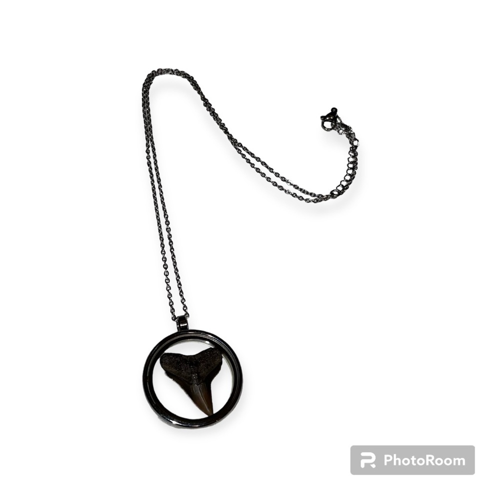 Sharks tooth locket necklace